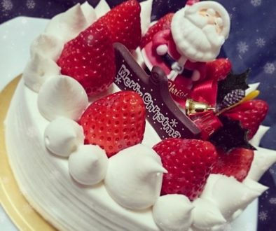 Japanese Christmas Cake wtih Santa Clause