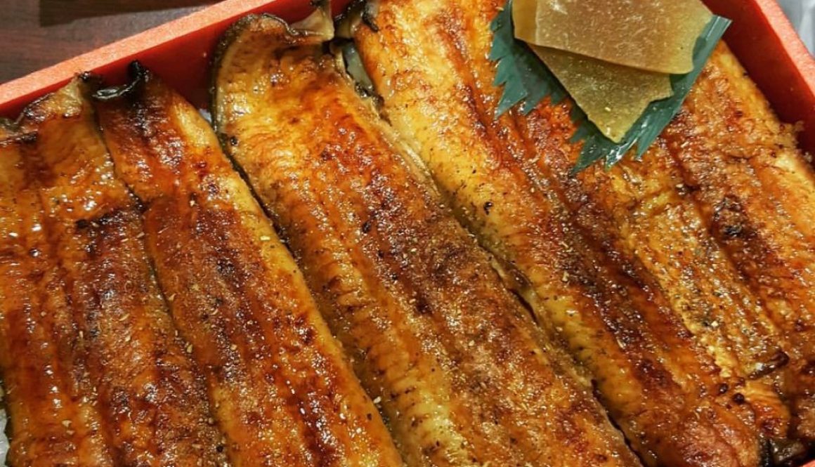 Japanese eel