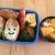 cute-bento-kr