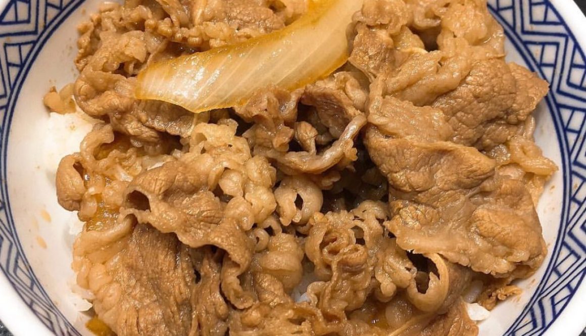 gyudon at Haneda airport