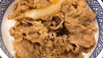 gyudon at Haneda airport
