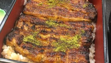 Japanese eel dish
