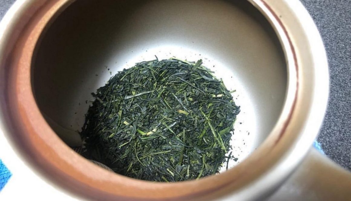 sencha leaves