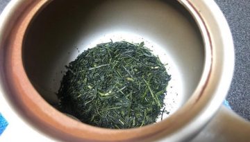 sencha leaves