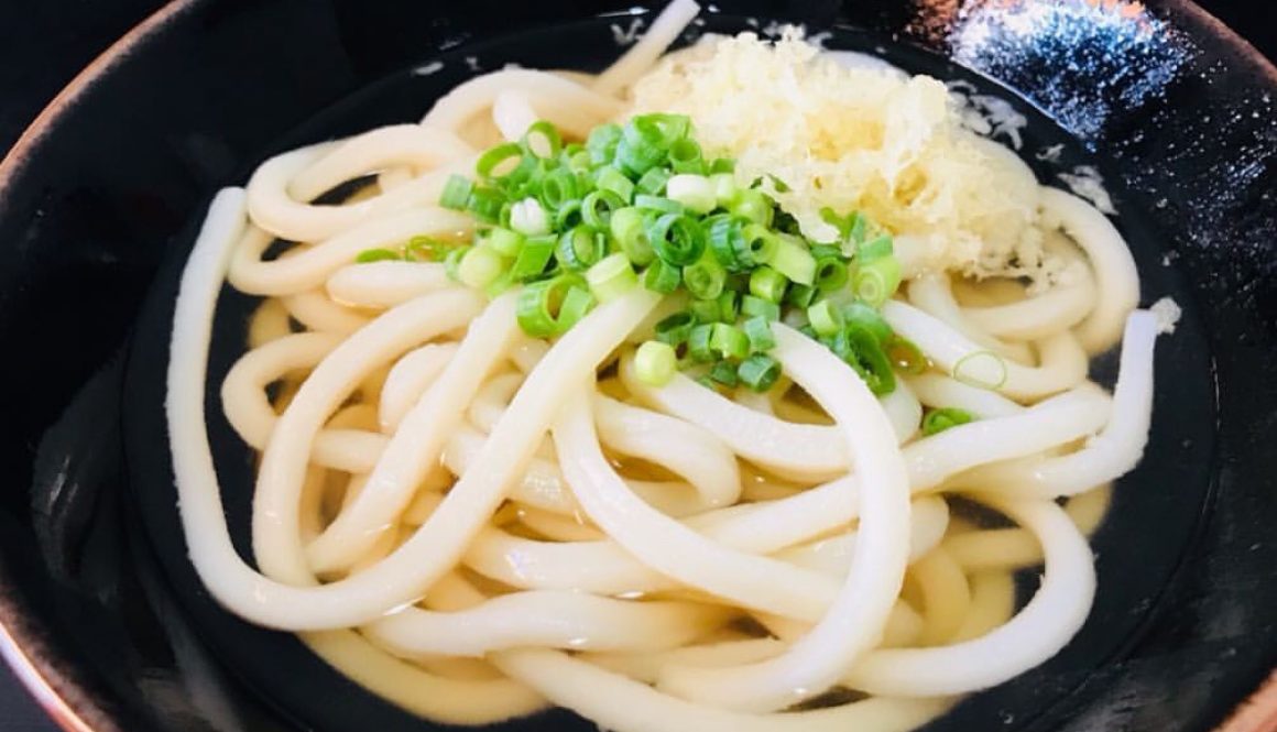 udon noodles